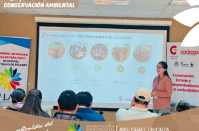 442507557_122114313296314819_7958273397578086644_n