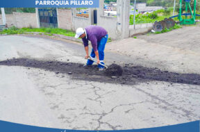 443716016_122111899502314819_419625279785599836_n