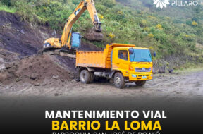 446959892_122114905148314819_1269636458967036599_n