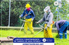 447709888_122115978884314819_2827783620081916622_n