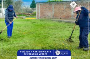 447967635_122116923314314819_443348427099526357_n