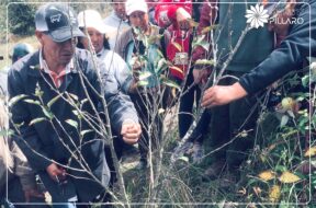 448375769_122119185974314819_72169094233401033_n