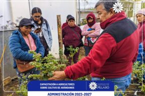 448448141_122120960276314819_7389067208078830763_n