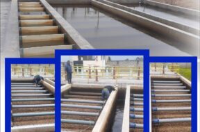 448704101_122120665946314819_4371609908109450569_n