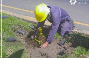 449121835_122121821582314819_3159688427466953719_n