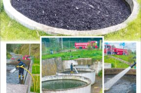 449454172_122122830830314819_7790203908750682079_n