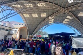 457389416_122136794126314819_6206384620598153606_n