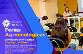 459924009_122141049122314819_8478123321641959528_n