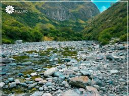 460505470_122141270396314819_6960823291380301019_n