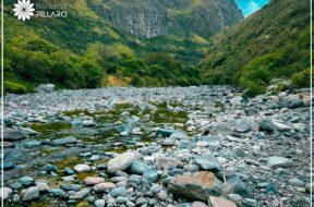 460505470_122141270396314819_6960823291380301019_n