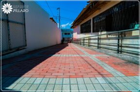 461250213_122142692084314819_4767894842523906445_n