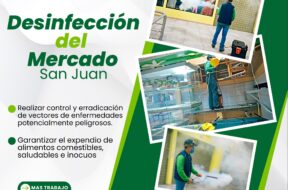 461835939_122144060936314819_7928343232338152021_n