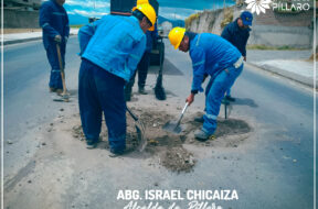 463439059_122146698614314819_3127486176411450412_n