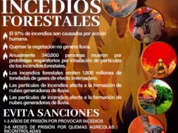 464260938_122148292856314819_5859675618449228222_n