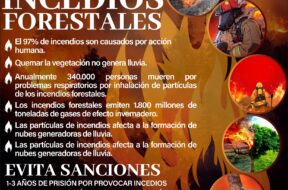 464260938_122148292856314819_5859675618449228222_n