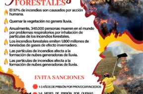 466064510_122151020258314819_40055223308673470_n