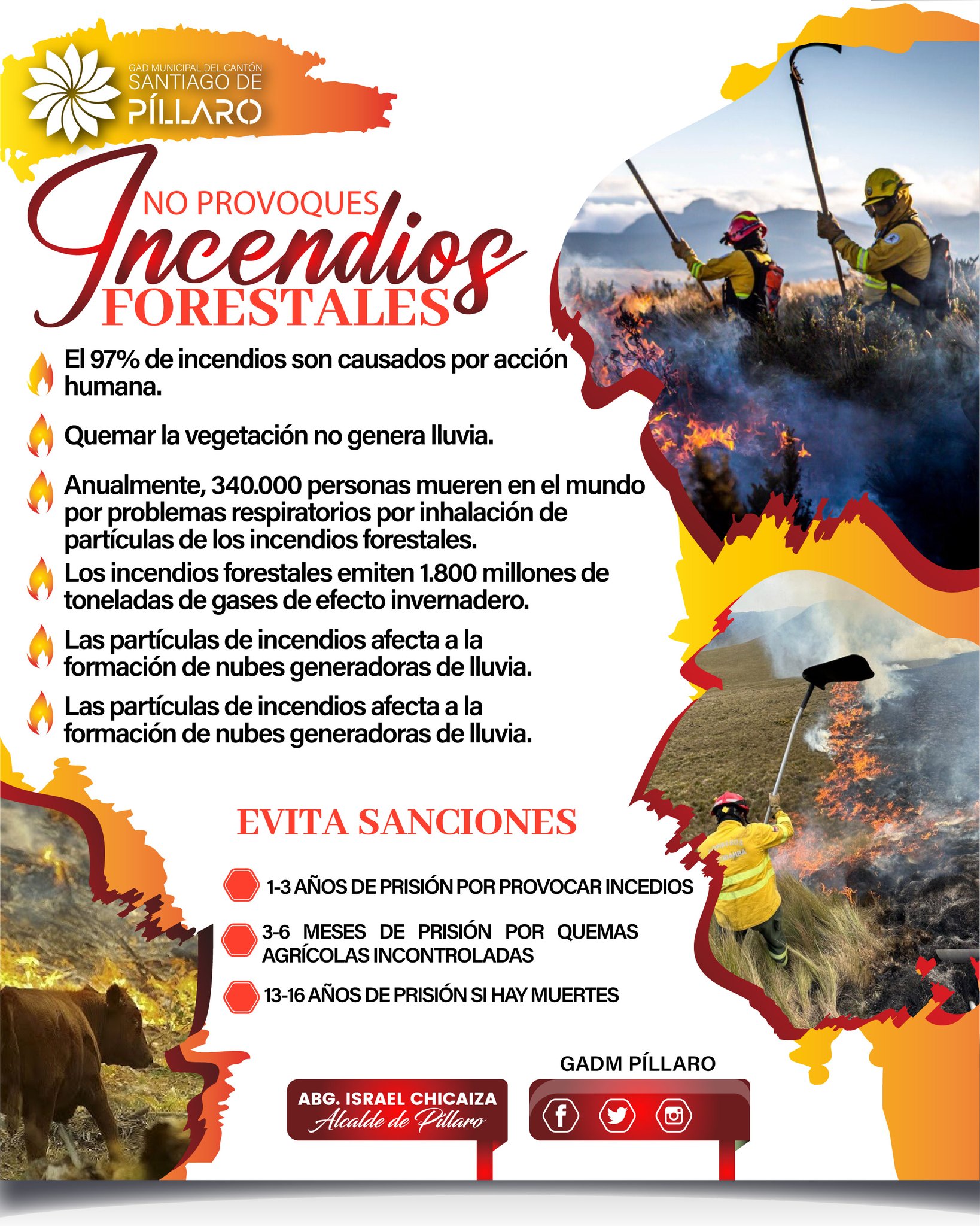 𝐂𝐮𝐢𝐝𝐞𝐦𝐨𝐬 𝐧𝐮𝐞𝐬𝐭𝐫𝐨𝐬 𝐛𝐨𝐬𝐪𝐮𝐞𝐬 𝐲 𝐞𝐧𝐭𝐨𝐫𝐧𝐨 𝐧𝐚𝐭𝐮𝐫𝐚𝐥