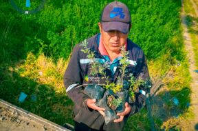 467507959_122153445992314819_3261843851656942596_n