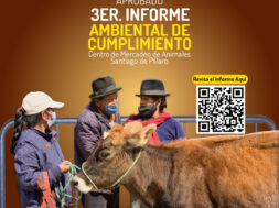 469331207_122156499668314819_739063659958423254_n