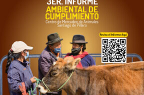 469331207_122156499668314819_739063659958423254_n