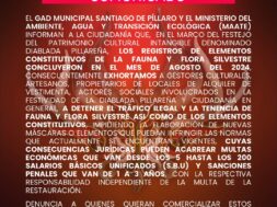 469424161_122156521814314819_4642402857693958768_n