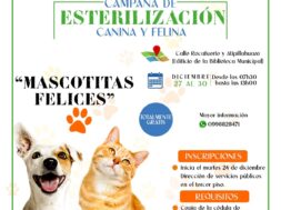 471414764_122159699792314819_5269697847883780353_n