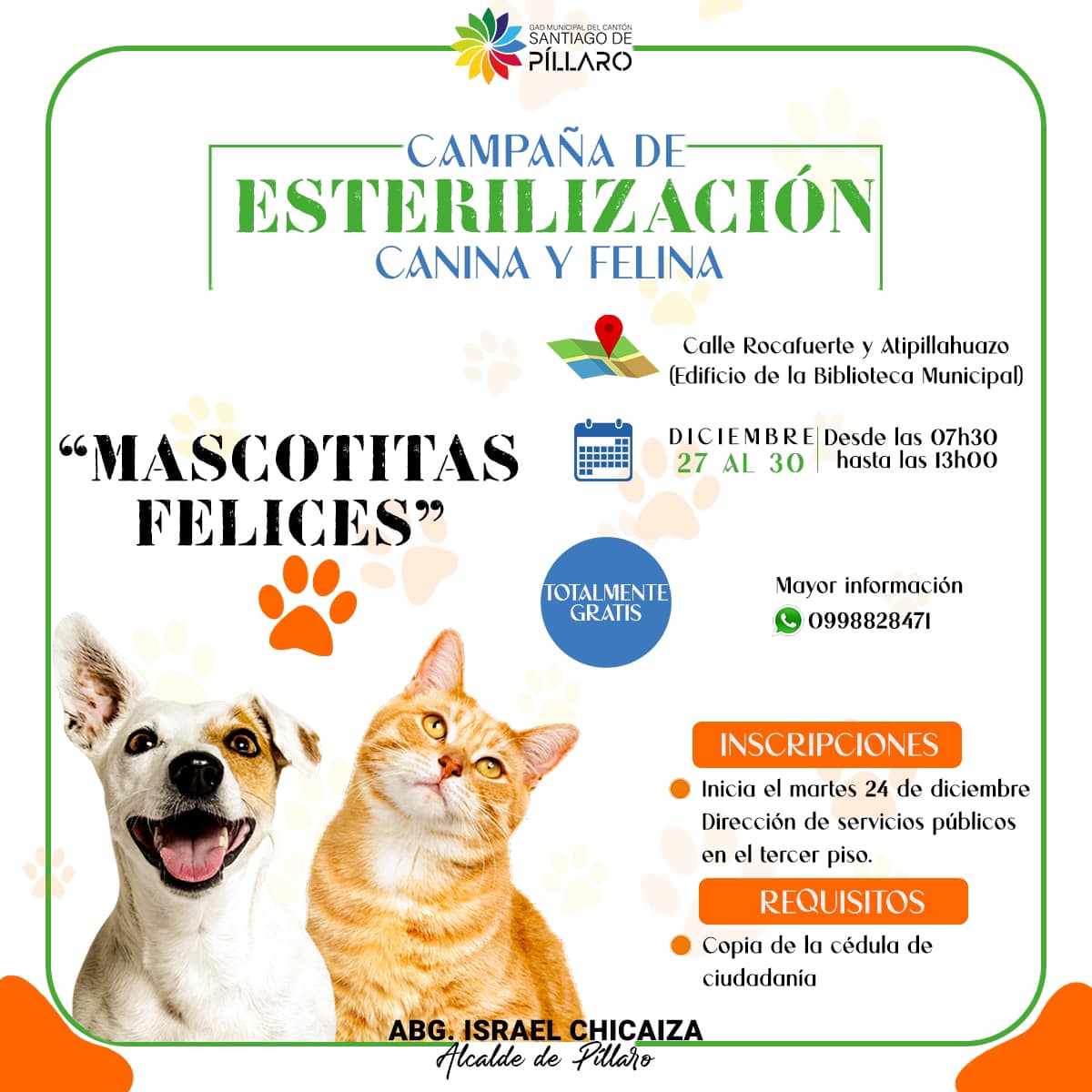 ¡𝐂𝐔𝐏𝐎𝐒 𝐃𝐈𝐒𝐏𝐎𝐍𝐈𝐁𝐋𝐄𝐒 𝐏𝐀𝐑𝐀 𝐋𝐀 𝐄𝐒𝐓𝐄𝐑𝐈𝐋𝐈𝐙𝐀𝐂𝐈𝐎́𝐍 𝐂𝐀𝐍𝐈𝐍𝐀 𝐘 𝐅𝐄𝐋𝐈𝐍𝐀!