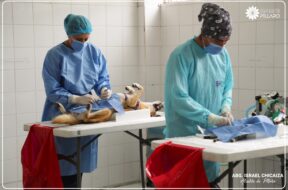 471585479_122160202370314819_5603406590447979583_n