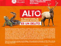 472092003_122160818228314819_7661451633696265980_n