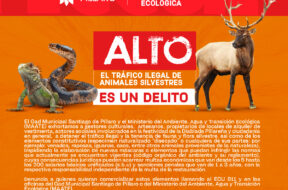 472092003_122160818228314819_7661451633696265980_n