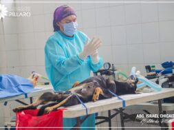 474204320_122164417448314819_8635774315644441735_n