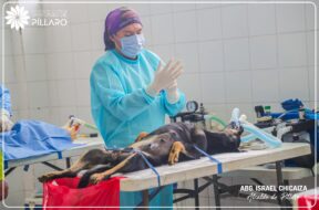 474204320_122164417448314819_8635774315644441735_n