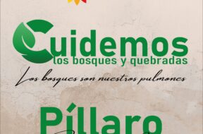 474384020_122164773248314819_5028694834977204764_n