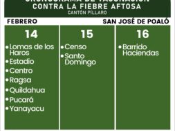 476794815_122168784560314819_335054148122695586_n