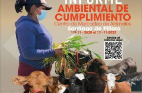 477566166_122168447480314819_6795284089357811496_n