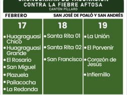 477581696_122169199232314819_5380703876016379261_n