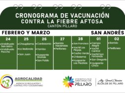 477576501_122169199610314819_2863895017234139880_n