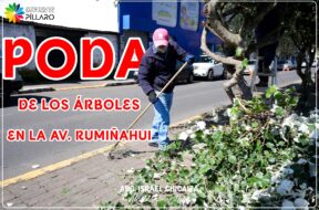 483873787_122173977596314819_1052883485646019716_n