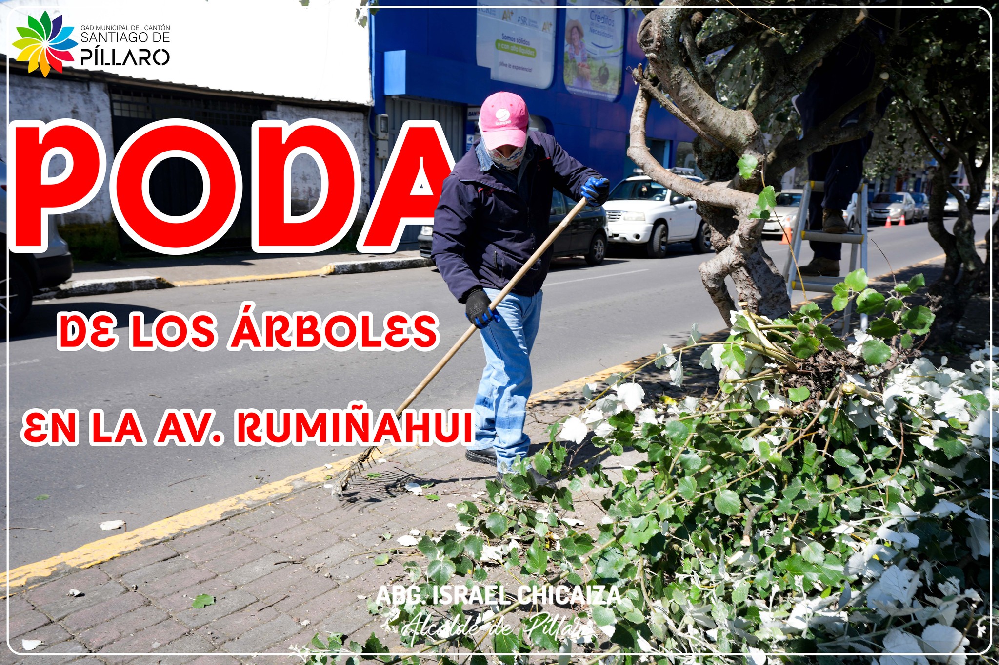 ¡𝐏𝐢́𝐥𝐥𝐚𝐫𝐨 𝐬𝐢𝐠𝐮𝐞 𝐜𝐫𝐞𝐜𝐢𝐞𝐧𝐝𝐨 𝐜𝐨𝐧 𝐞𝐬𝐩𝐚𝐜𝐢𝐨𝐬 𝐦𝐚́𝐬 𝐥𝐢𝐦𝐩𝐢𝐨𝐬 𝐲 𝐬𝐞𝐠𝐮𝐫𝐨𝐬!