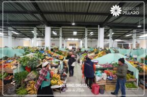 486815987_122177403908314819_3785025568128099720_n